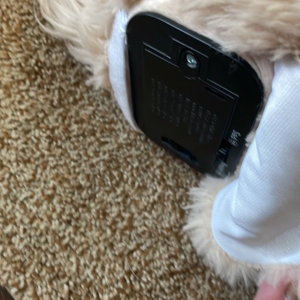Little Tikes Rescue Tales Pekingese Adoptable Pet
